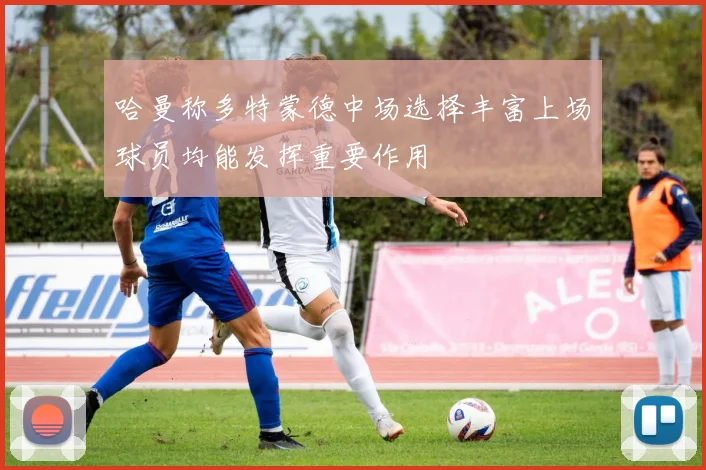 哈曼称多特蒙德中场选择丰富上场球员均能发挥重要作用