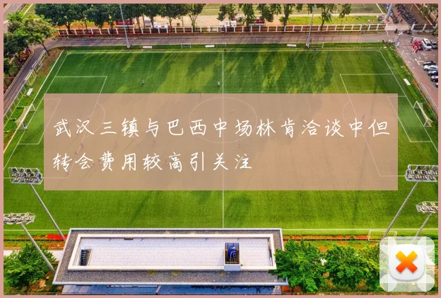 武汉三镇与巴西中场林肯洽谈中但转会费用较高引关注