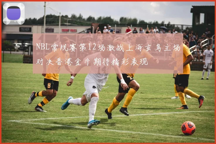 NBL常规赛第12场激战上海玄鸟主场对决香港金牛期待精彩表现