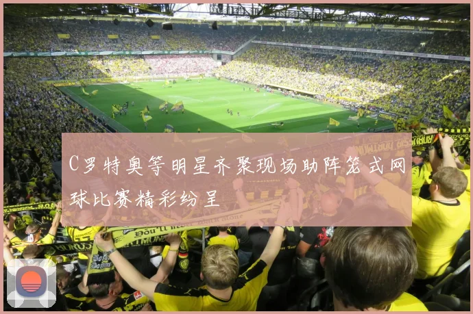 C罗特奥等明星齐聚现场助阵笼式网球比赛精彩纷呈